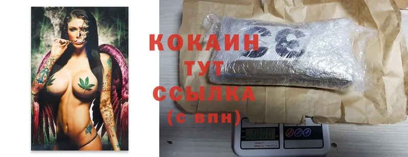 купить закладку  Чкаловск  MEGA как войти  Cocaine 99% 